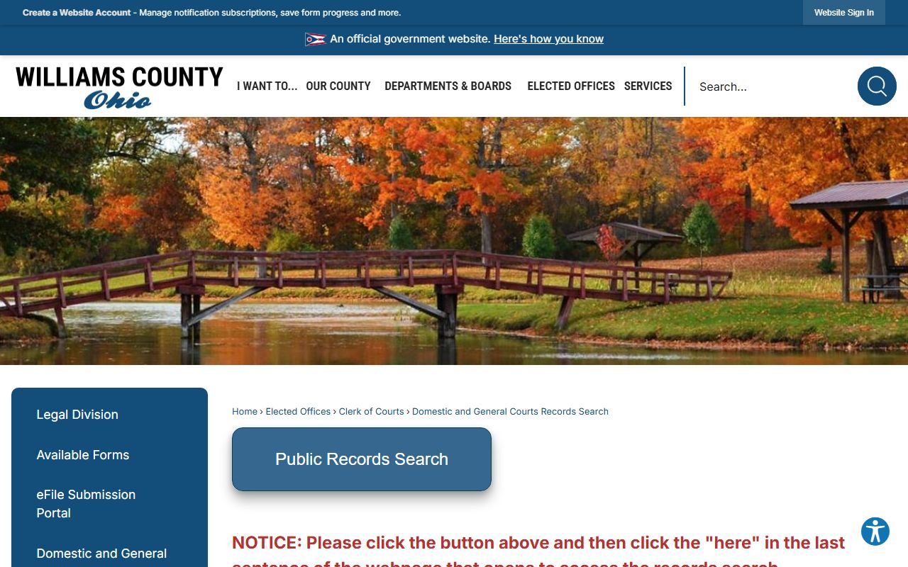 Williams County court records search page with Common Pleas access notes